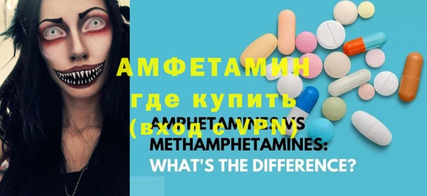 мдпв Бородино