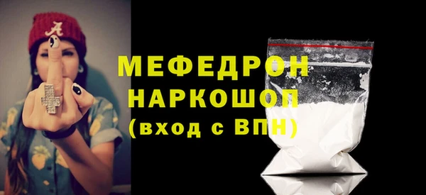 мдпв Бородино