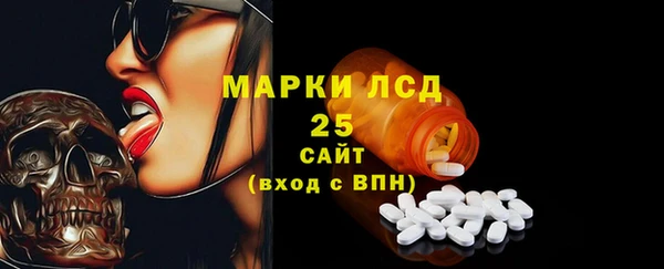 мдпв Бородино