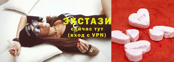 мдпв Бородино