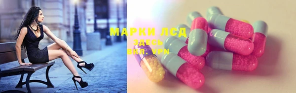 сатива Бугульма