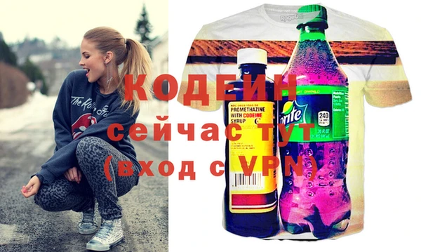 мдпв Бородино