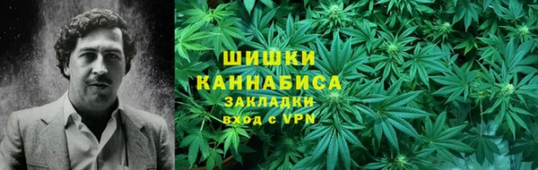 мдпв Бородино