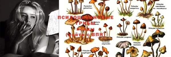 мдпв Бородино