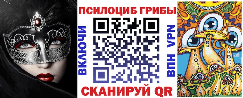 закладки  Тбилисская  Псилоцибиновые грибы Cubensis 