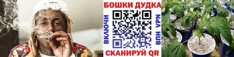 кракен сайт Тбилисская Конопля тримм